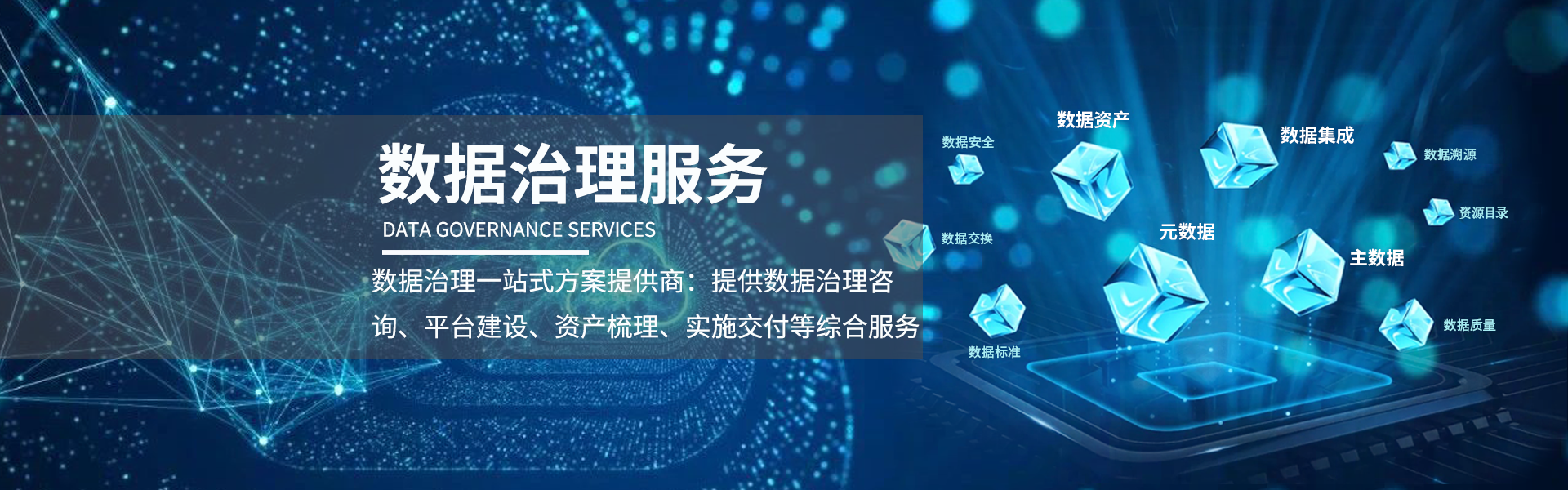 數(shù)據(jù)治理服務(wù)